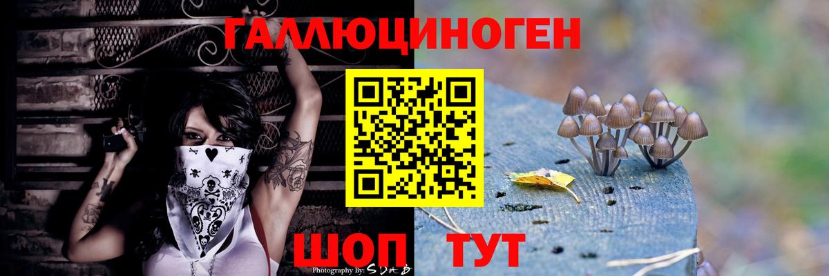 Псилоцибиновые грибы Magic Shrooms  Вход с VPN  Видное  Псилоцибиновые грибы Psilocybine cubensis 